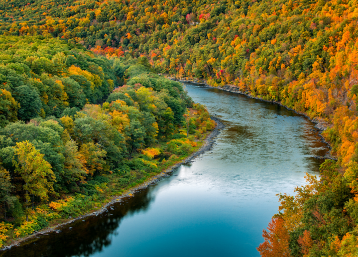 Delaware River named 2020 River of the Year